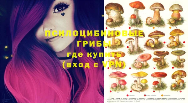 винт Балахна