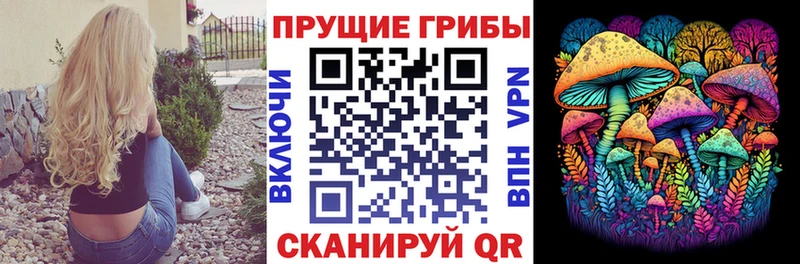 KRAKEN вход Новохопёрск Псилоцибиновые грибы Psilocybine cubensis